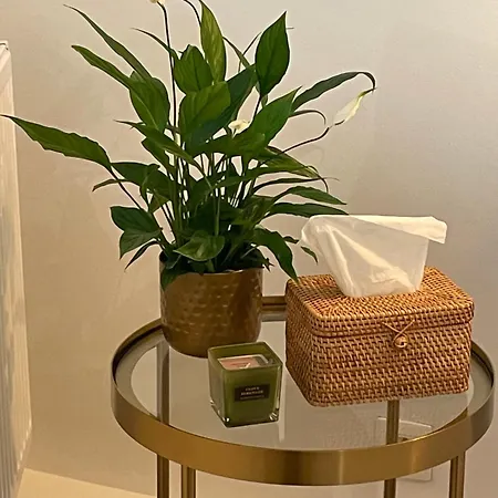 Apartment Catherine De Savoie, Rez Cosy Et Elegant Avec Cour Interieure *